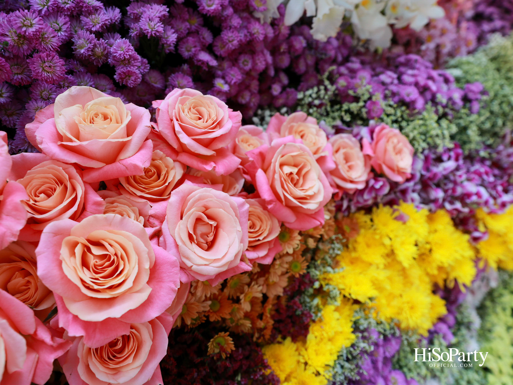 ‘งานดอกไม้ปาร์คนายเลิศ ครั้งที่ 36’ สวนศิลป์แห่งอนาคต ภายใต้คอนเซ็ปต์ ‘Garden of Tomorrow’