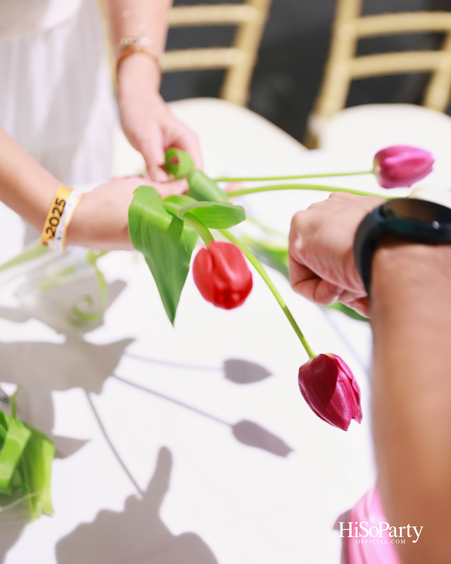 ‘งานดอกไม้ปาร์คนายเลิศ ครั้งที่ 36’ สวนศิลป์แห่งอนาคต ภายใต้คอนเซ็ปต์ ‘Garden of Tomorrow’