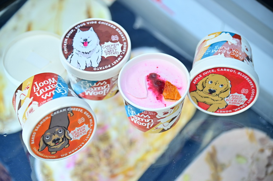 กูร์เมต์ มาร์เก็ต เปิดงาน ‘PETSHOOD’ คอมมูนิตี้คนรักสัตว์ใจกลางสุขุมวิท พร้อม กลัฟ - คณาวุฒิ และเหล่าอินฟลูเอนเซอร์สี่ขา