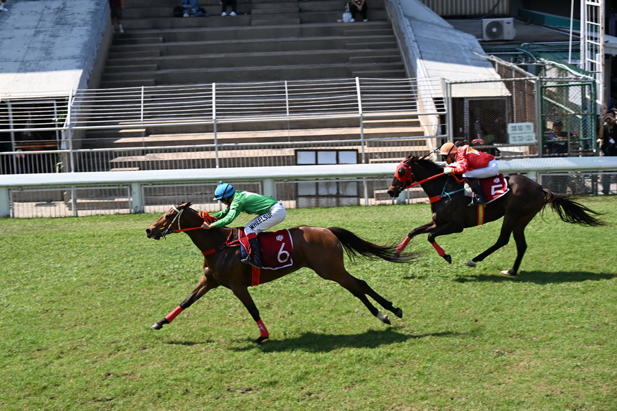 Jim Thompson X Pomme Chan คอลเลกชันพิเศษต้อนรับปีม้า ถ่ายทอดพลัง ความทรงจำ และจิตวิญญาณแห่งอิสรภาพ