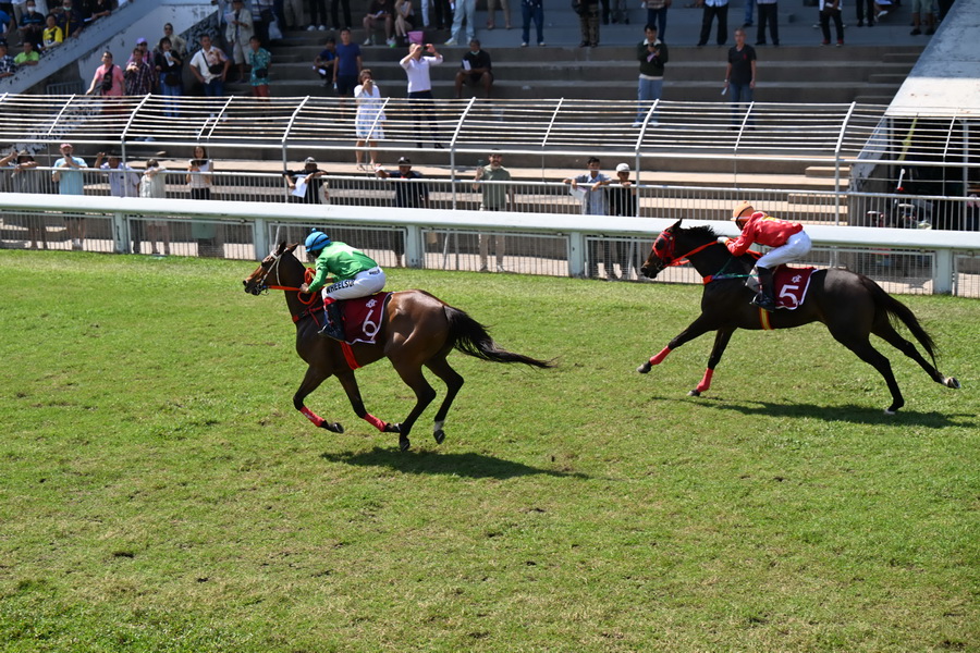 Jim Thompson X Pomme Chan คอลเลกชันพิเศษต้อนรับปีม้า ถ่ายทอดพลัง ความทรงจำ และจิตวิญญาณแห่งอิสรภาพ