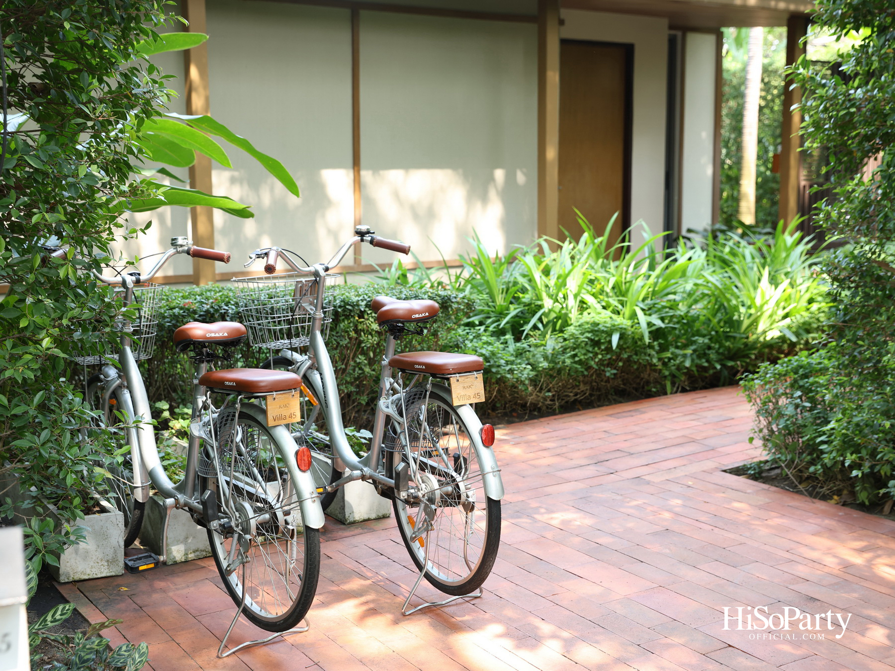 HiSoParty X RAKxa Integrative Wellness ชวนสัมผัส ‘One Day - A Journey into Longevity’ เปิดประสบการณ์ดูแลสุขภาพแบบองค์รวม