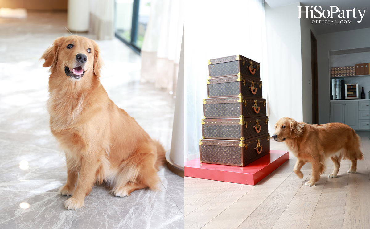 มาริษา ชุติภาวรกานต์ 