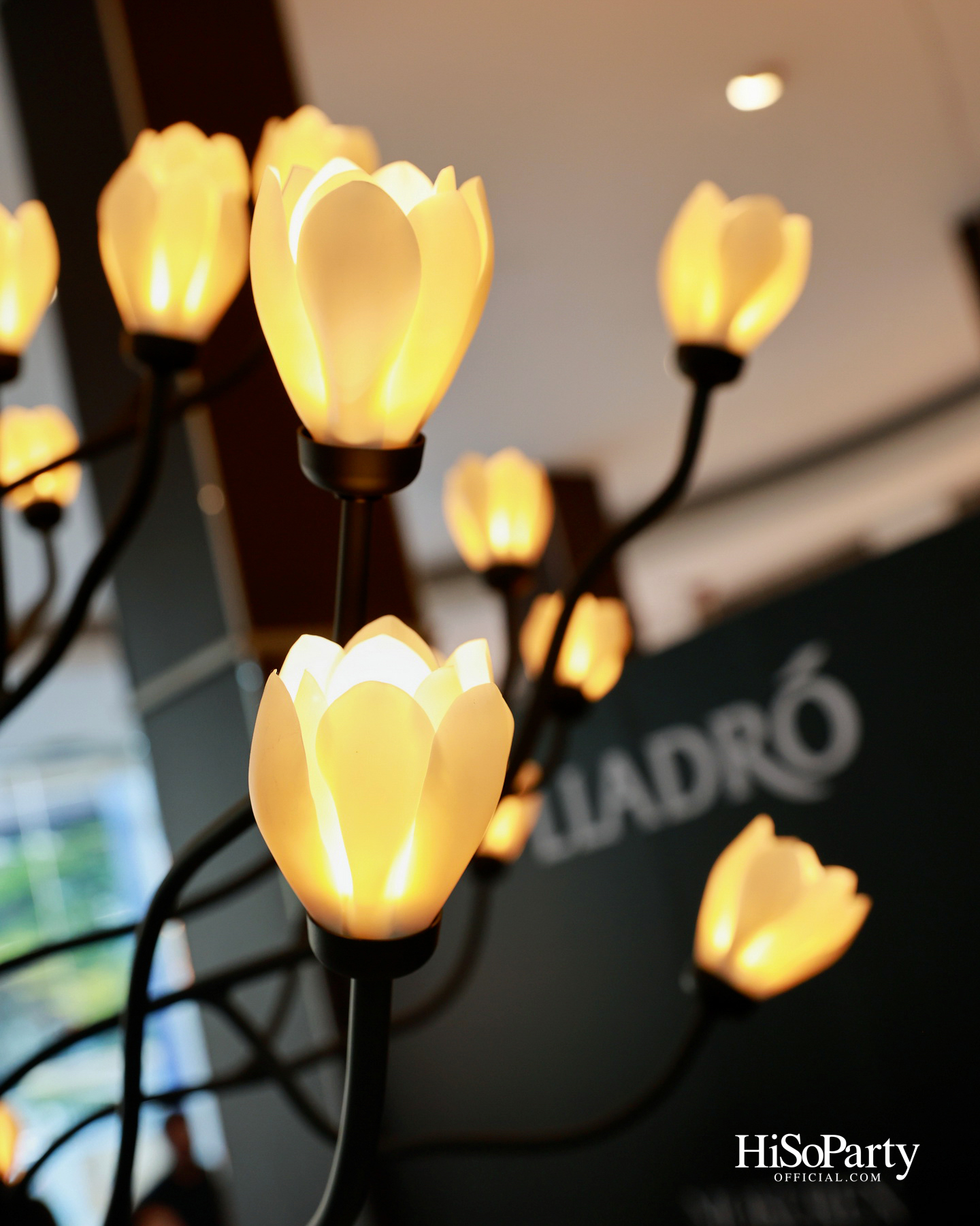 Crystal Symphony x Lladr&oacute;