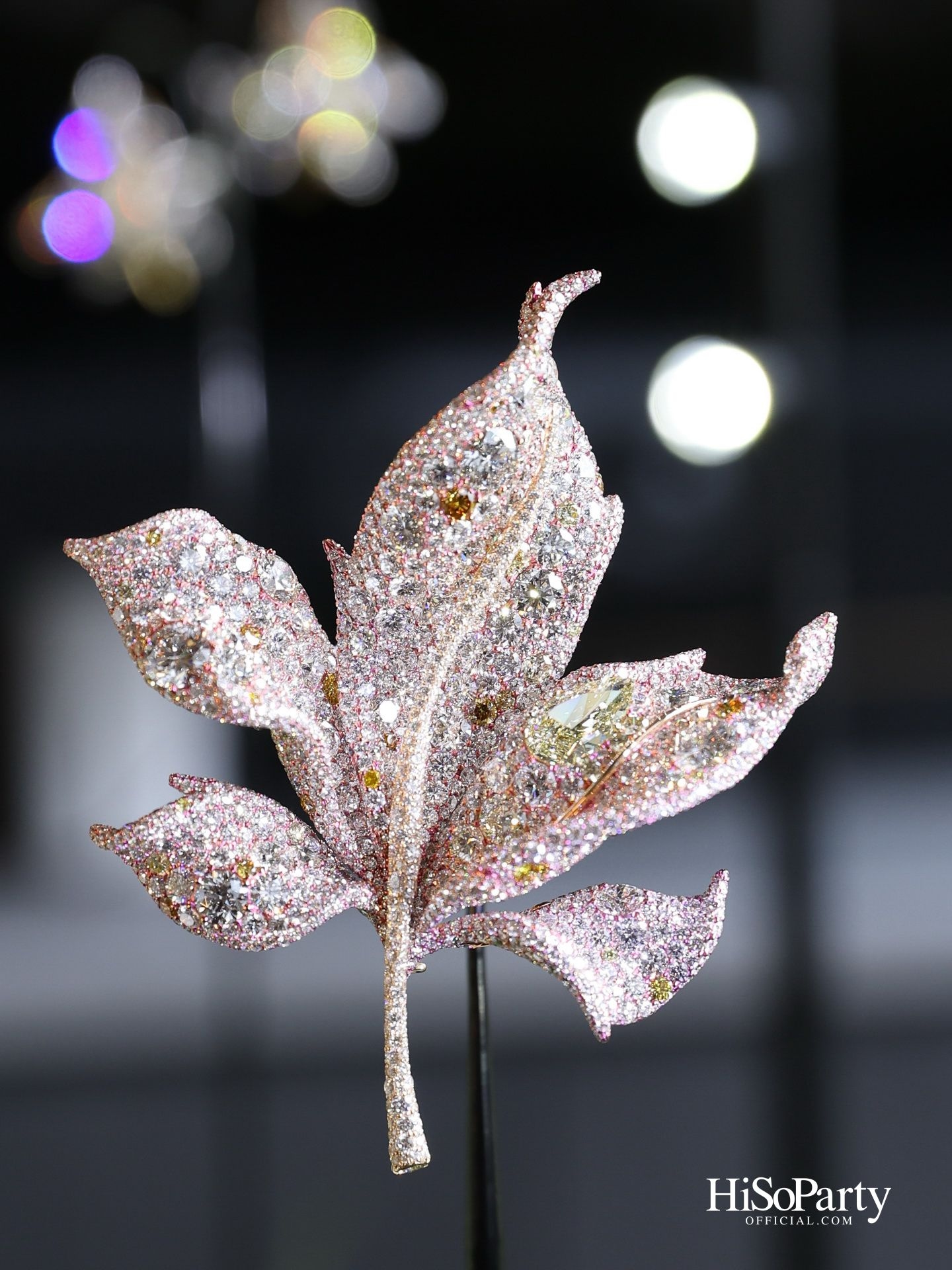 CINDY CHAO x HiSoParty จัด ‘Exclusive Viewing’ ของ White Label Collection ณ Aman Nai Lert Bangkok