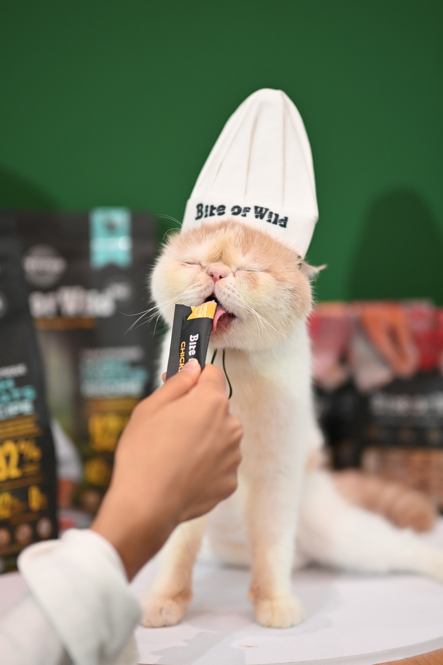 Bite of Wild เปิดตัวในไทยอย่างมีสไตล์ ชวนเหล่า Cat Lovers สัมผัสประสบการณ์ ‘ชุมทางเชฟเสือ’