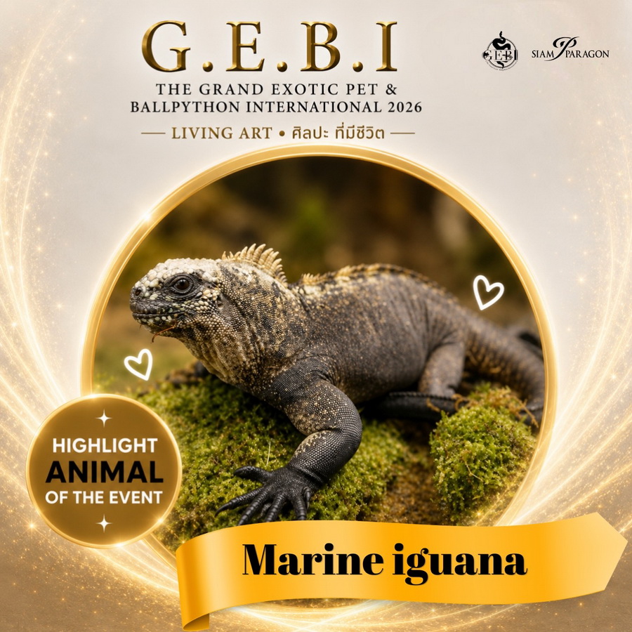สยามพารากอน ชวนเปิดโลกสัตว์ Exotic ในงาน ‘G.E.B.I. – The Grand Exotic Pet & Ball Python International 2026’