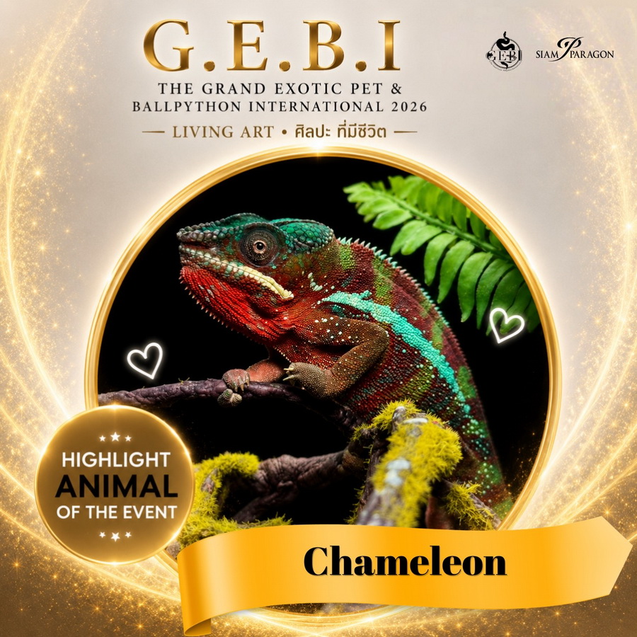 สยามพารากอน ชวนเปิดโลกสัตว์ Exotic ในงาน ‘G.E.B.I. – The Grand Exotic Pet & Ball Python International 2026’