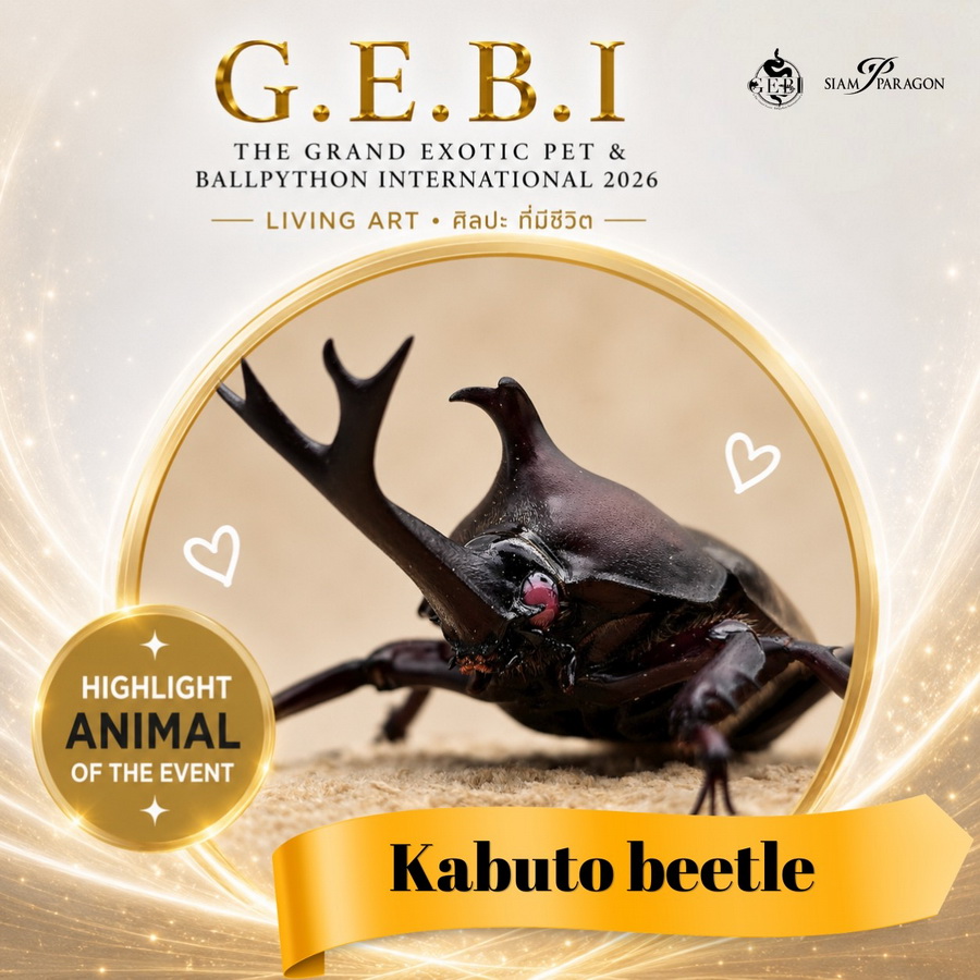 สยามพารากอน ชวนเปิดโลกสัตว์ Exotic ในงาน ‘G.E.B.I. – The Grand Exotic Pet & Ball Python International 2026’