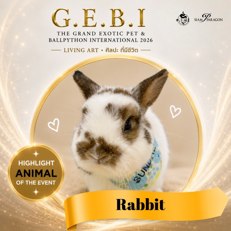 สยามพารากอน ชวนเปิดโลกสัตว์ Exotic ในงาน ‘G.E.B.I. – The Grand Exotic Pet & Ball Python International 2026’