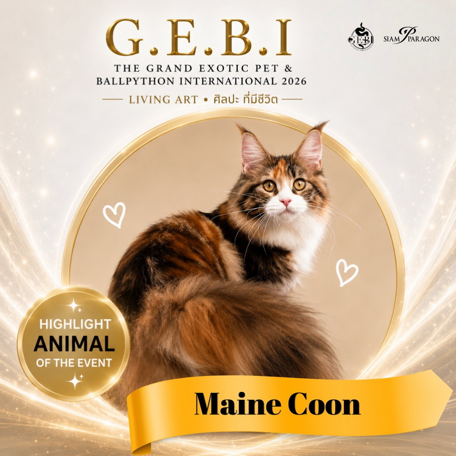 สยามพารากอน ชวนเปิดโลกสัตว์ Exotic ในงาน ‘G.E.B.I. – The Grand Exotic Pet & Ball Python International 2026’