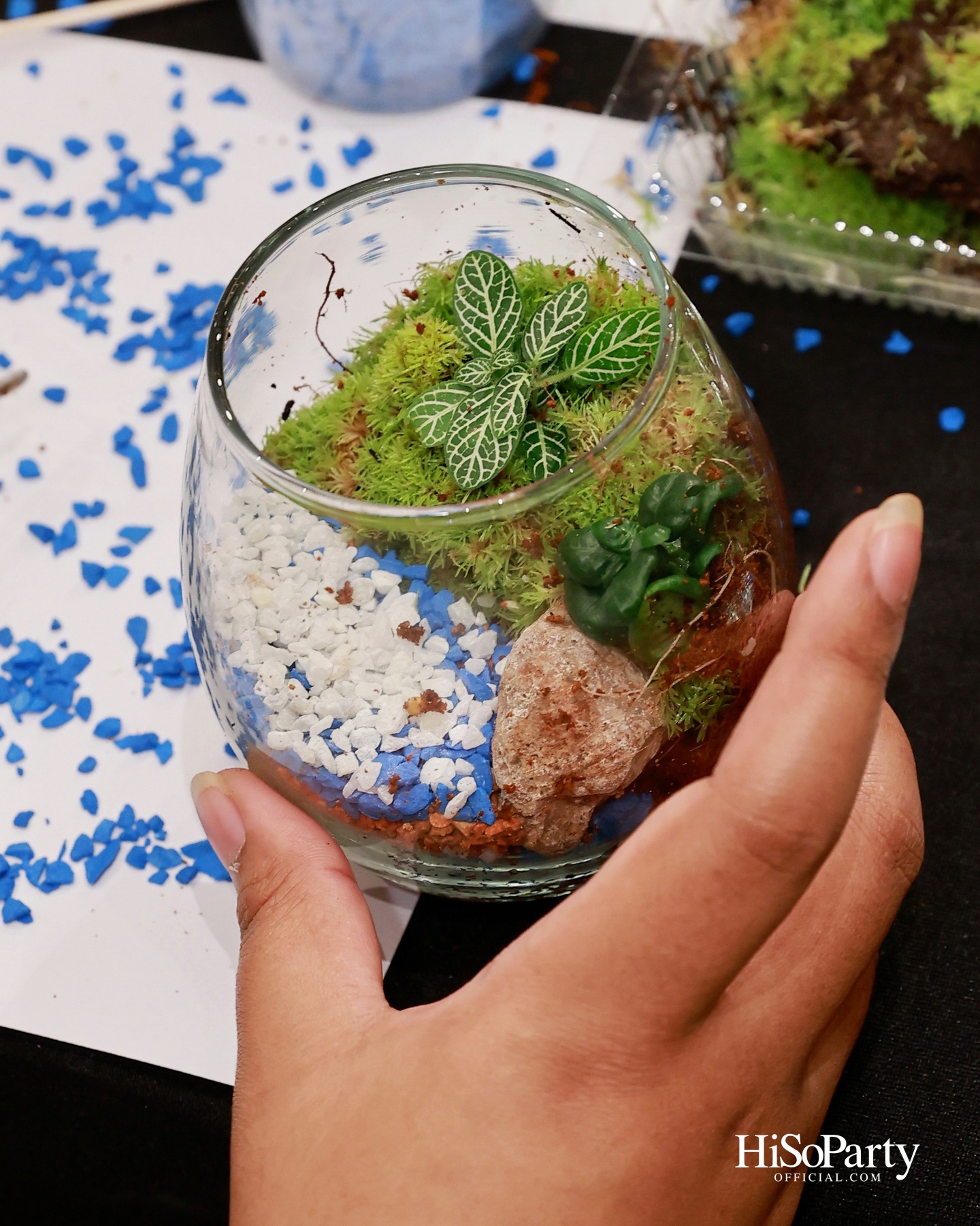 CHAGEE เปิดตัวมัทฉะซีรีส์ใหม่ ผ่าน ‘Matcha Tasting Journey’ พร้อมเชื่อมโลกของชาเข้ากับเรื่องราวจาก The Little Prince